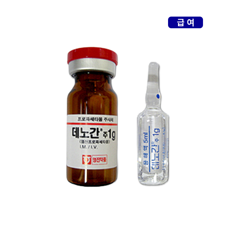 영진약품)데노간주1g/10V
