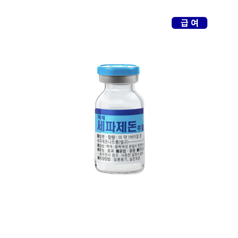국제약품)국제세파제돈주1g/10V